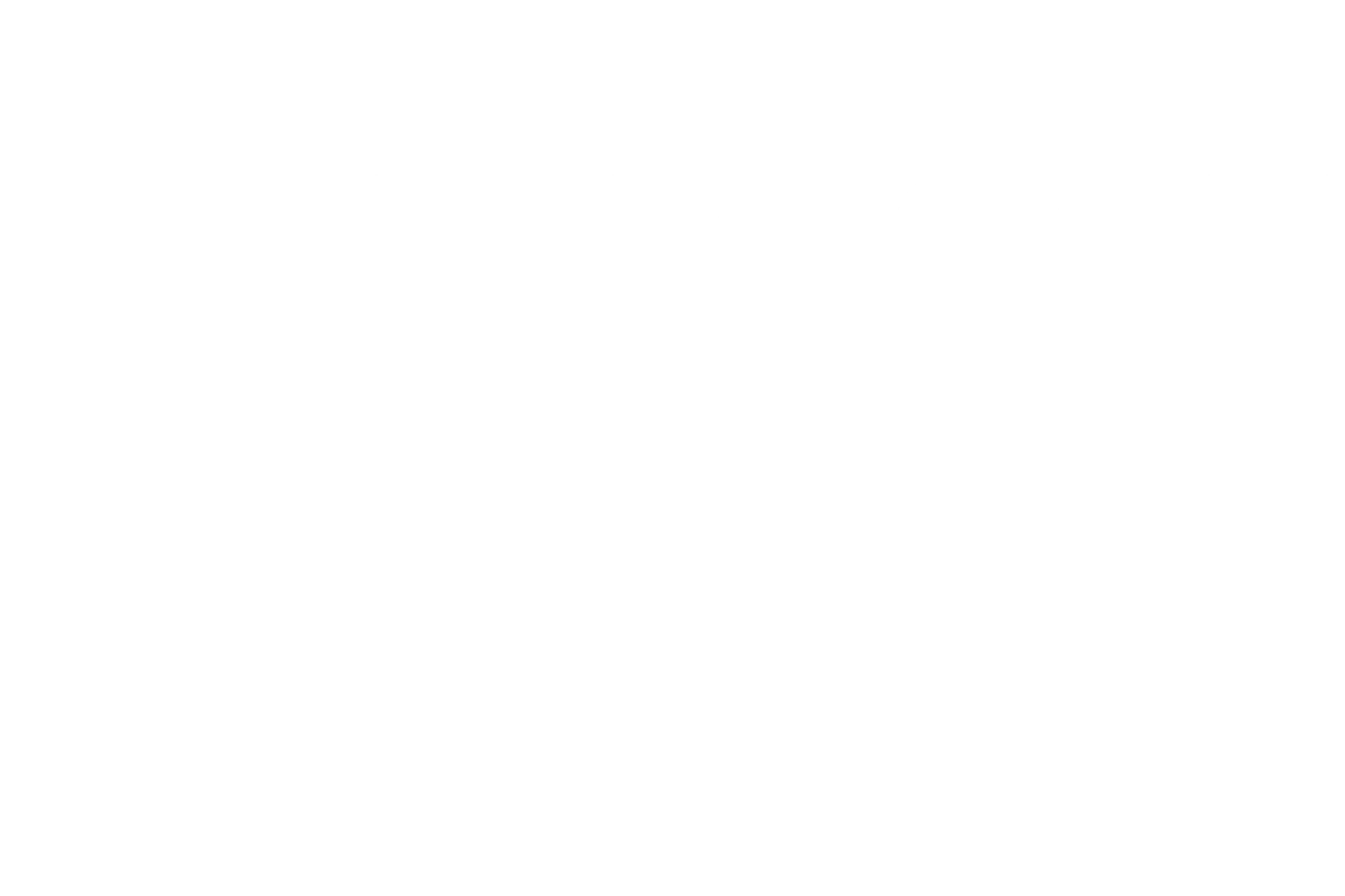 Logo Lea Wilson in weiß